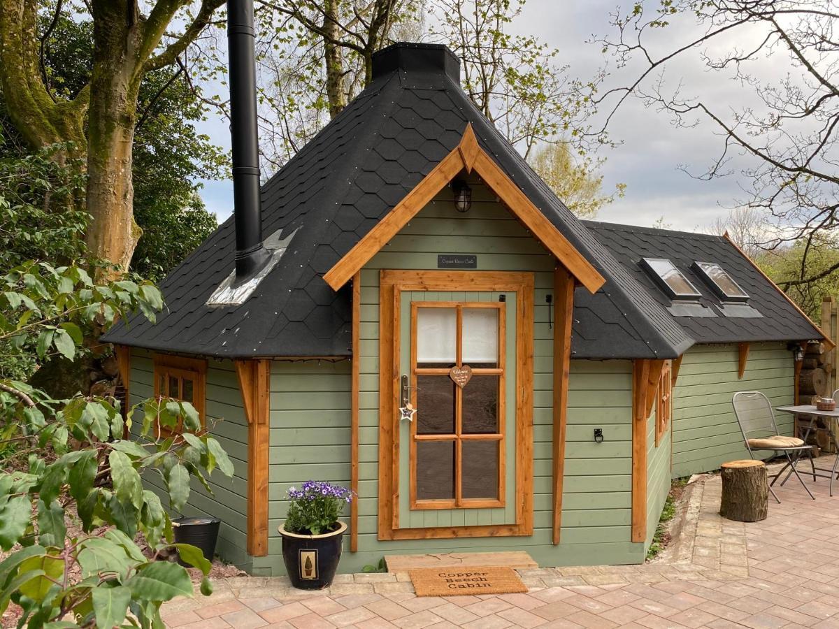 Cozy Carluke Lodge Retreat Εξωτερικό φωτογραφία