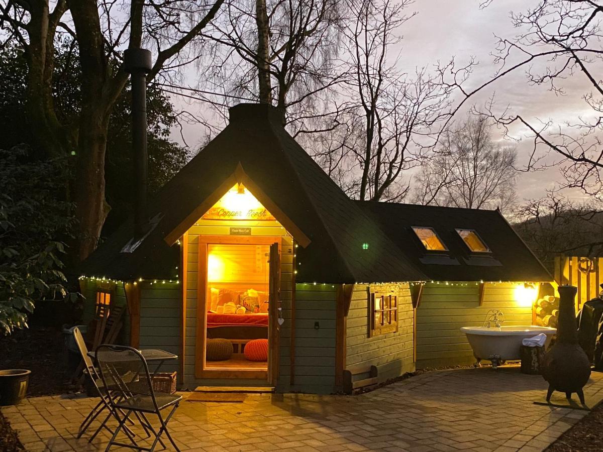 Cozy Carluke Lodge Retreat Εξωτερικό φωτογραφία
